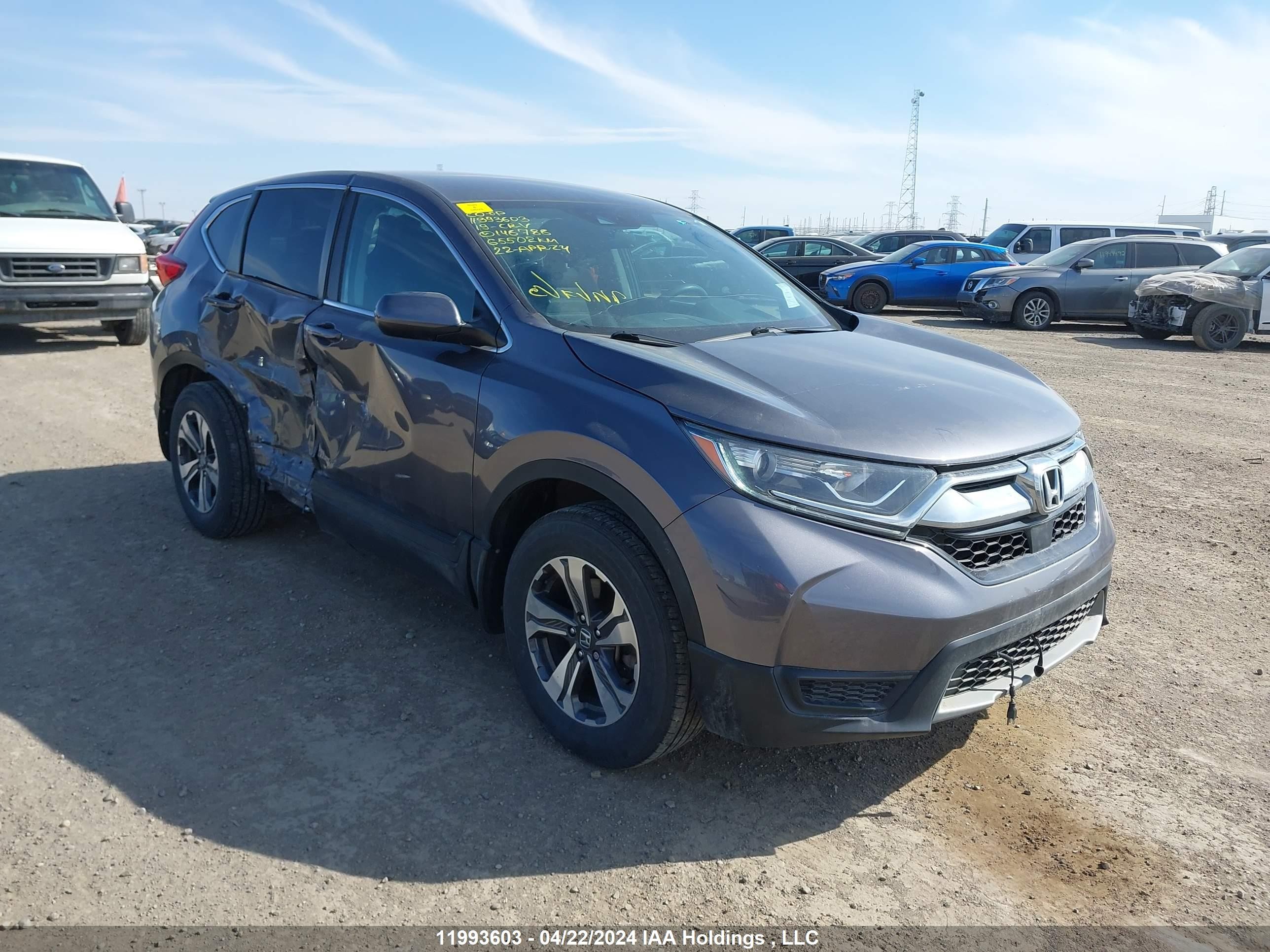 HONDA CR-V 2019 2hkrw2h26kh146786