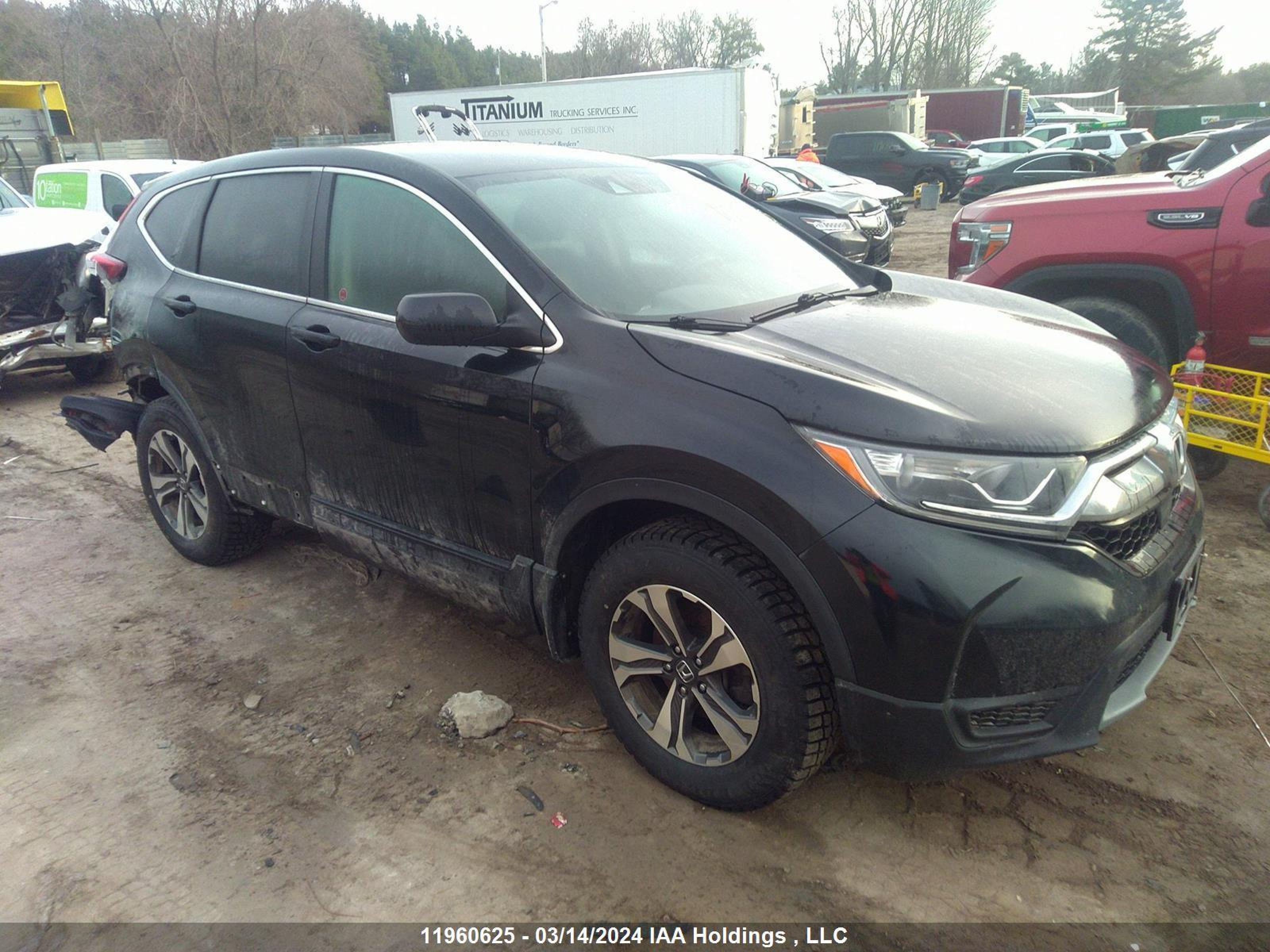 HONDA CR-V 2019 2hkrw2h29kh148791