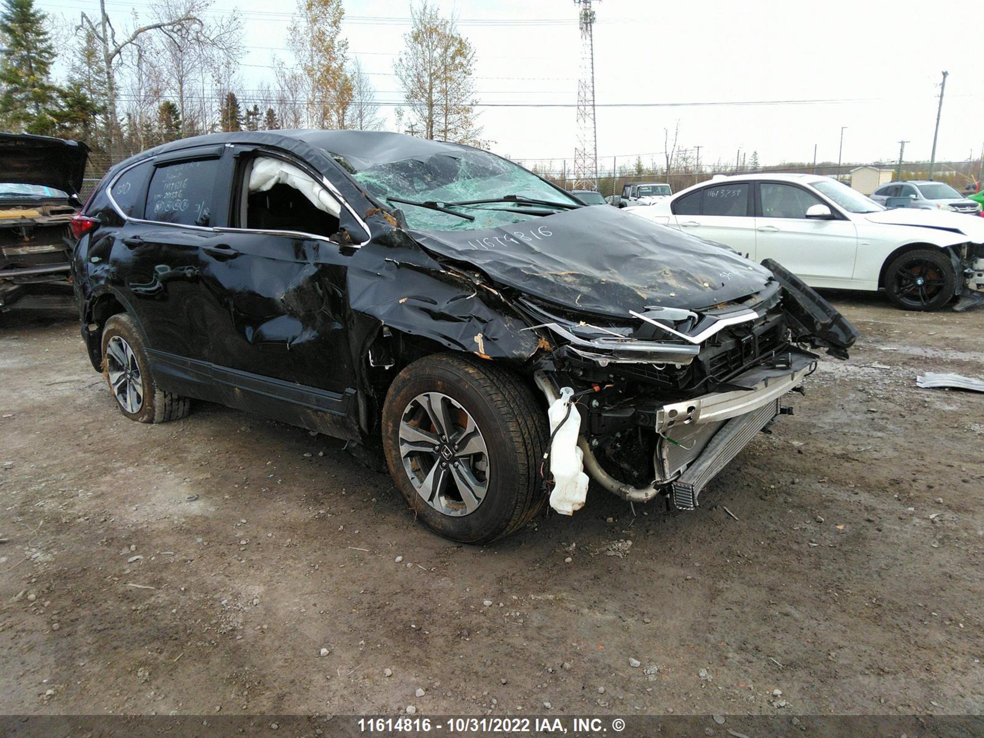 HONDA CR-V 2020 2hkrw2h29lh201586