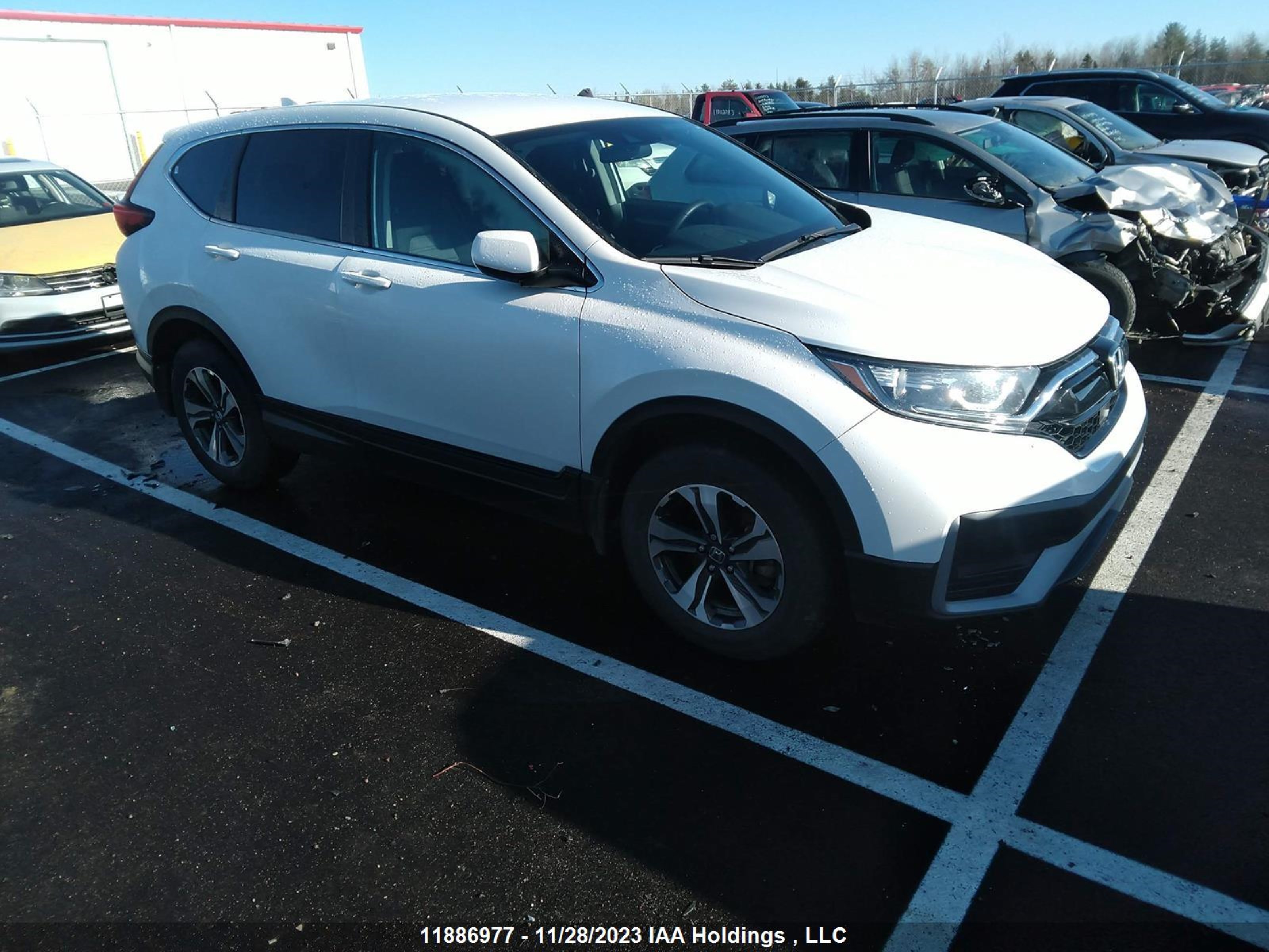 HONDA CR-V 2021 2hkrw2h2xmh231682