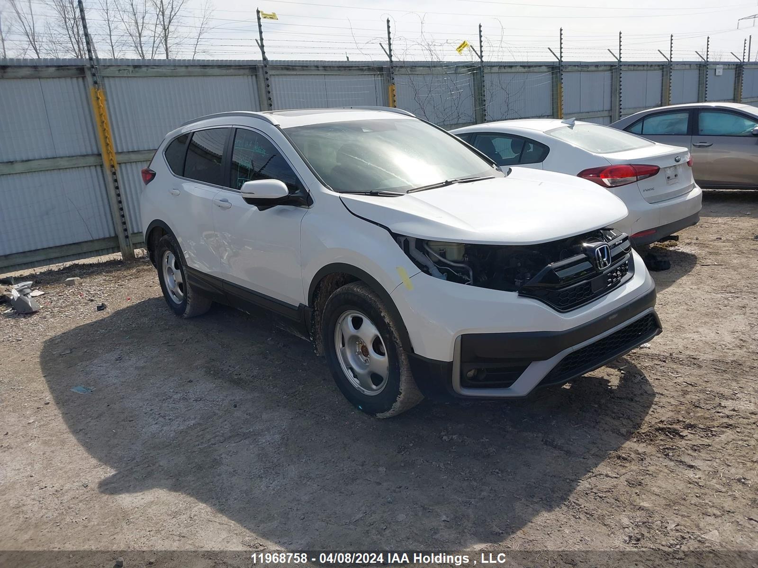 HONDA CR-V 2022 2hkrw2h49nh205299