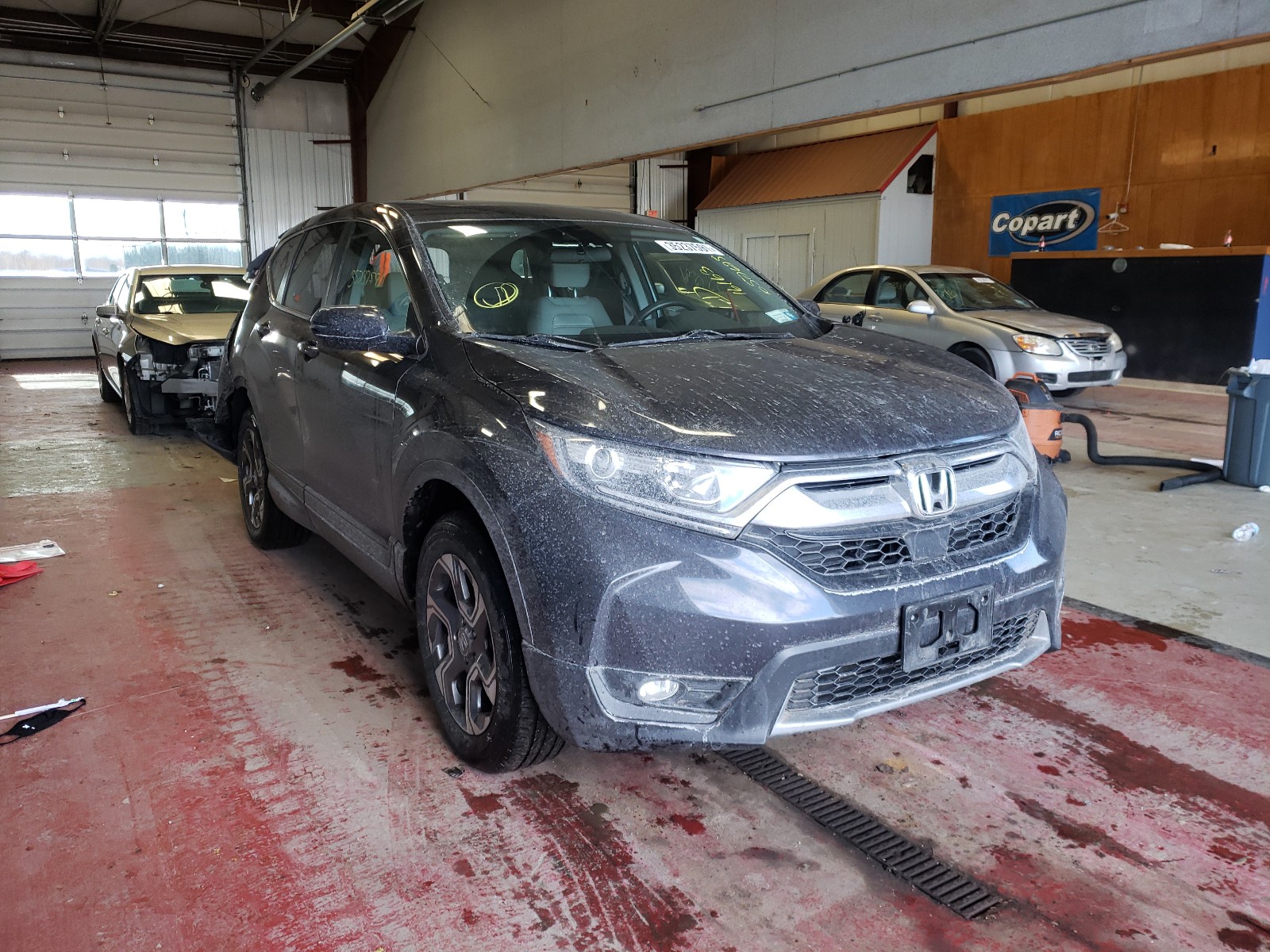 HONDA CR-V EX 2019 2hkrw2h50kh652625