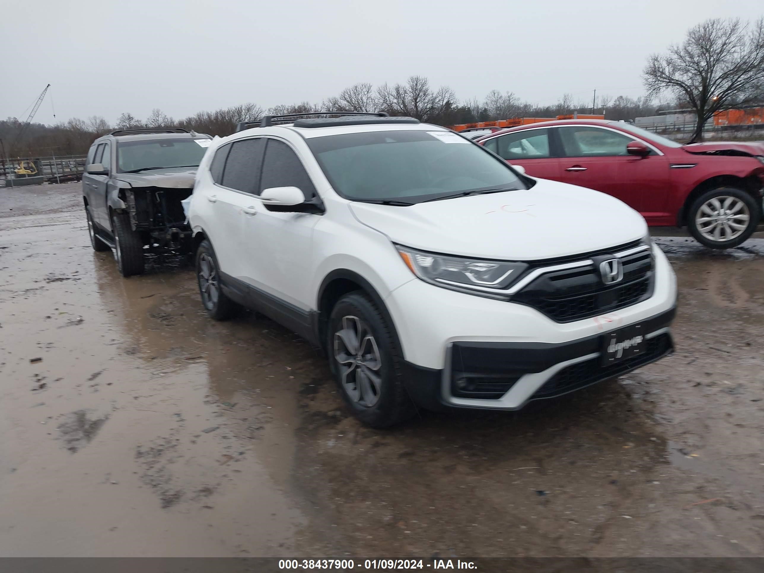 HONDA CR-V 2020 2hkrw2h50lh673220