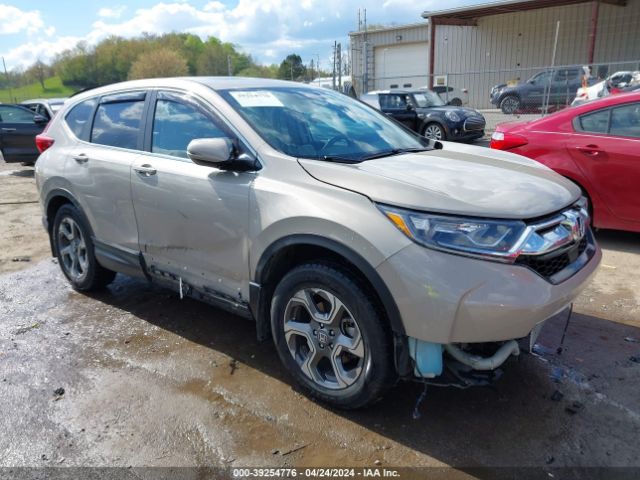 HONDA CR-V 2019 2hkrw2h51kh650267