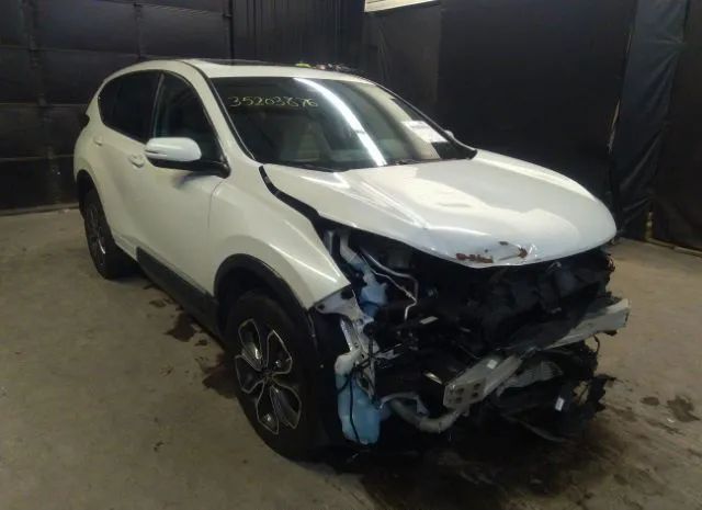 HONDA CR-V 2020 2hkrw2h51lh653977