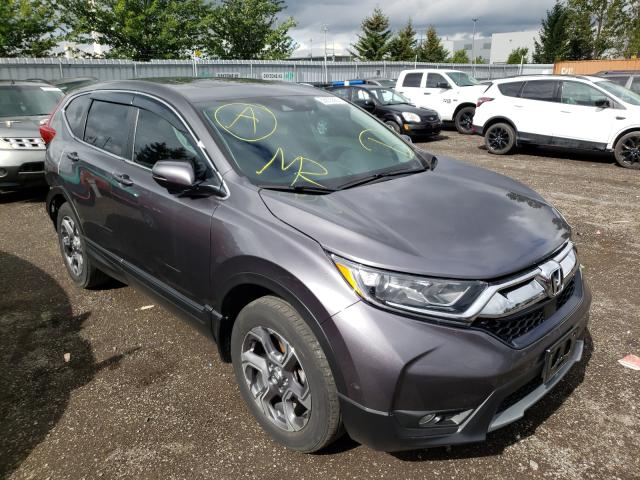 HONDA CR-V EX 2019 2hkrw2h52kh143670