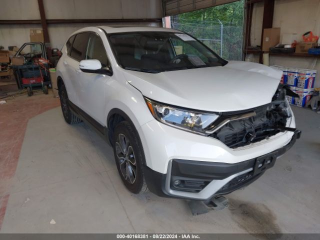 HONDA CR-V 2020 2hkrw2h53lh683143