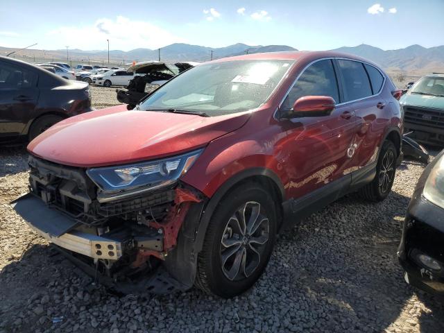 HONDA CR-V EX 2022 2hkrw2h53nh619915