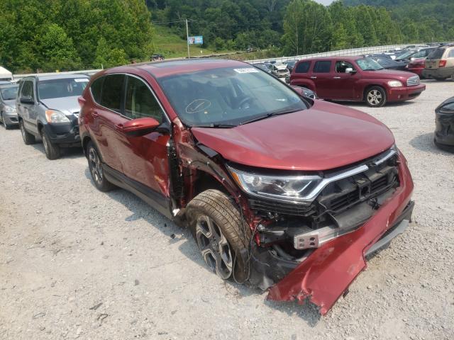 HONDA CR-V EX 2019 2hkrw2h54kh606957