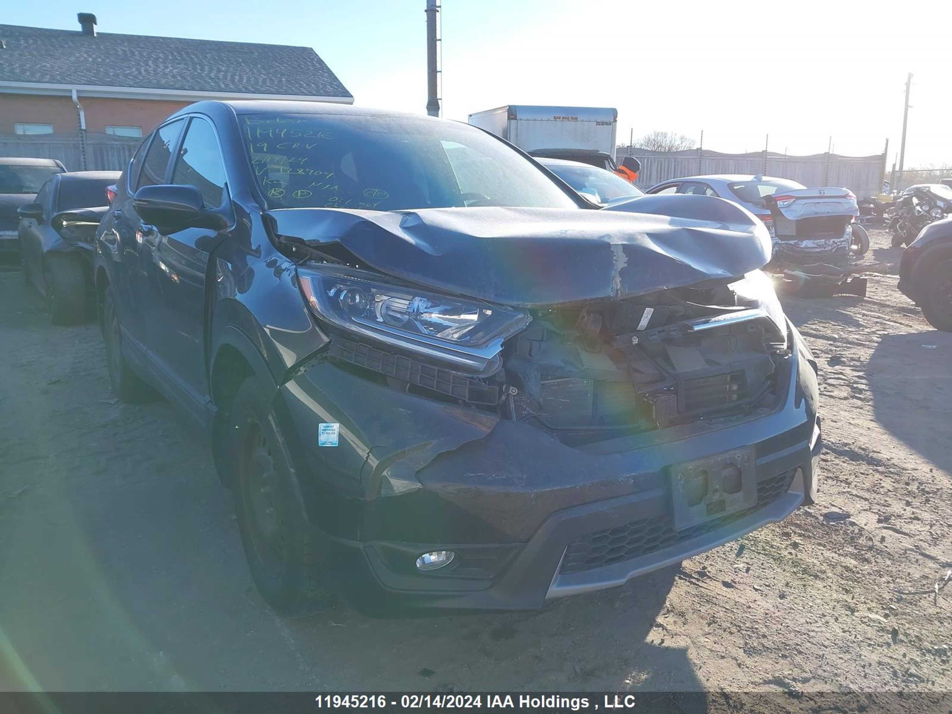 HONDA CR-V 2019 2hkrw2h56kh128704