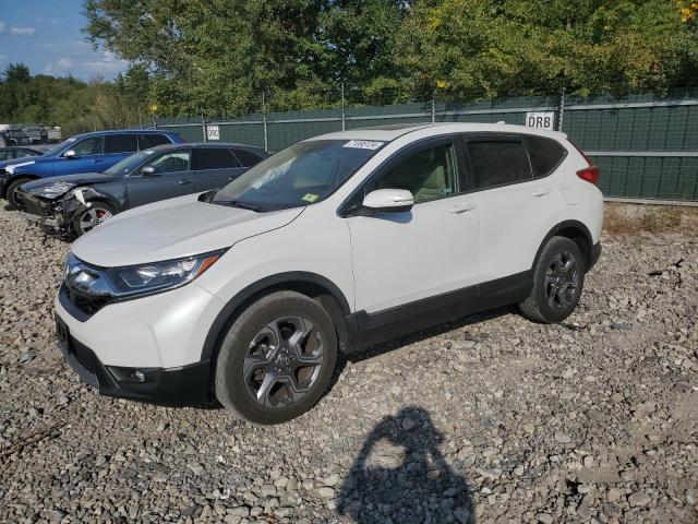 HONDA CR-V EX 2019 2hkrw2h57kh642416