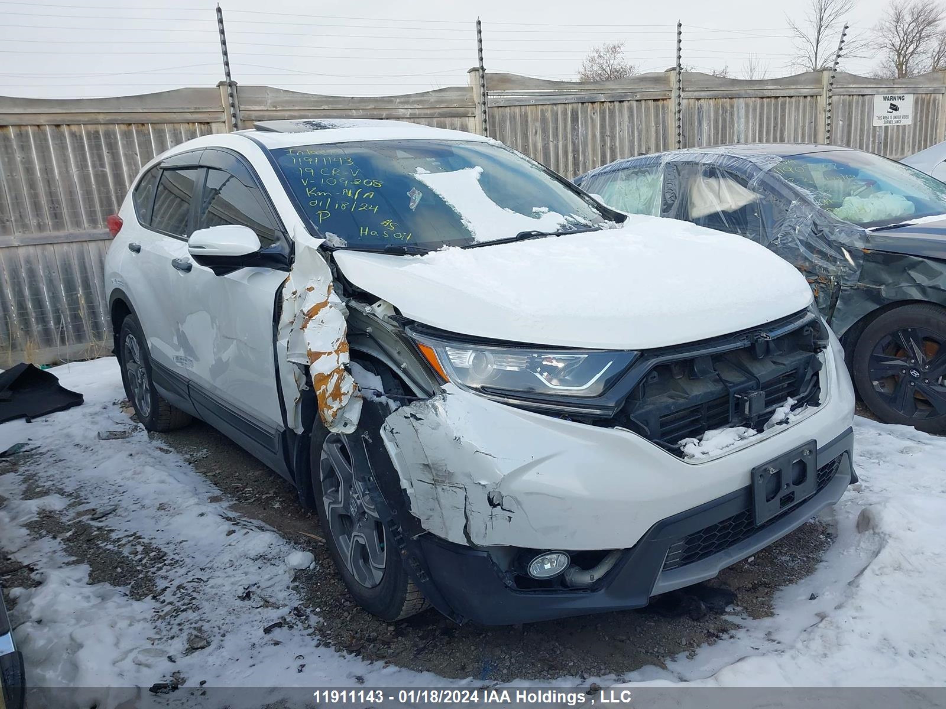 HONDA CR-V 2019 2hkrw2h59kh109208