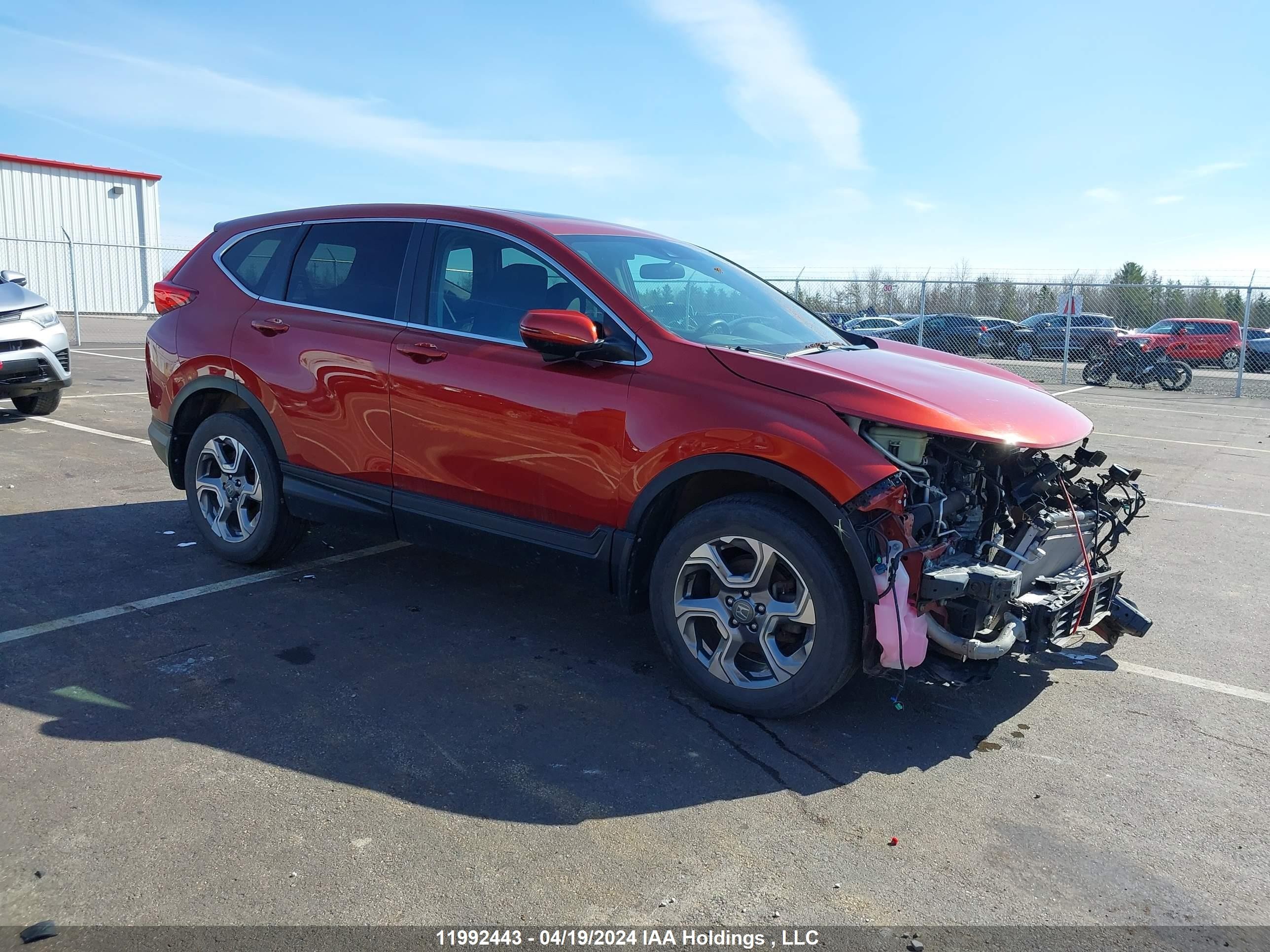 HONDA CR-V 2019 2hkrw2h59kh139177