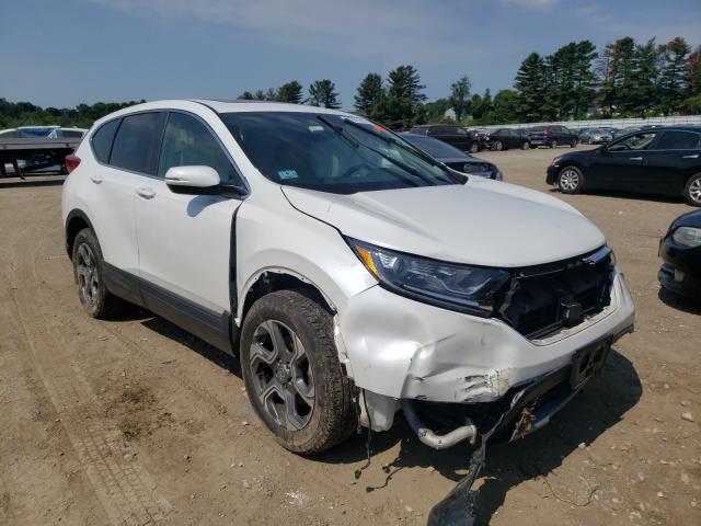 HONDA CR-V EX 2019 2hkrw2h59kh613094