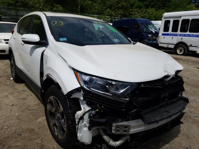 HONDA CR-V EX 2019 2hkrw2h59kh630591