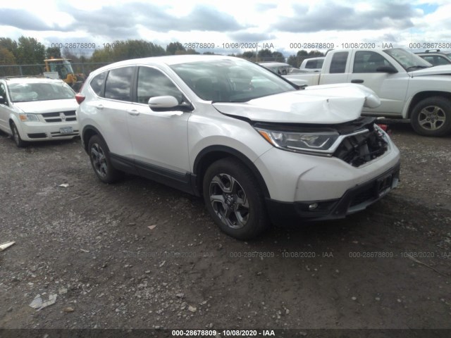 HONDA CR-V 2019 2hkrw2h59kh659766