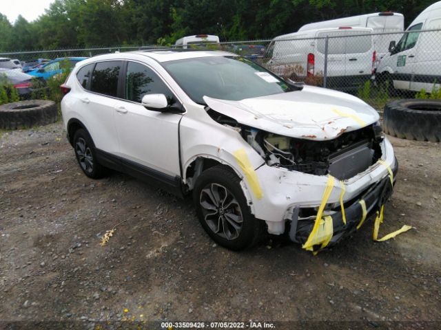 HONDA CR-V 2020 2hkrw2h59lh608186