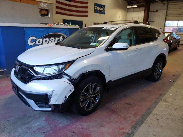 HONDA CR-V EX 2020 2hkrw2h59lh652608