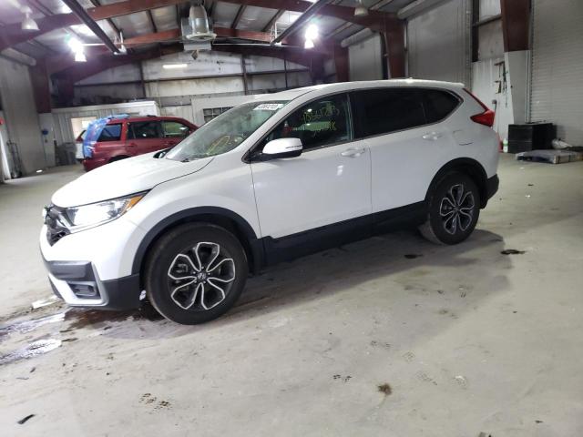 HONDA CR-V EX 2020 2hkrw2h59lh656383