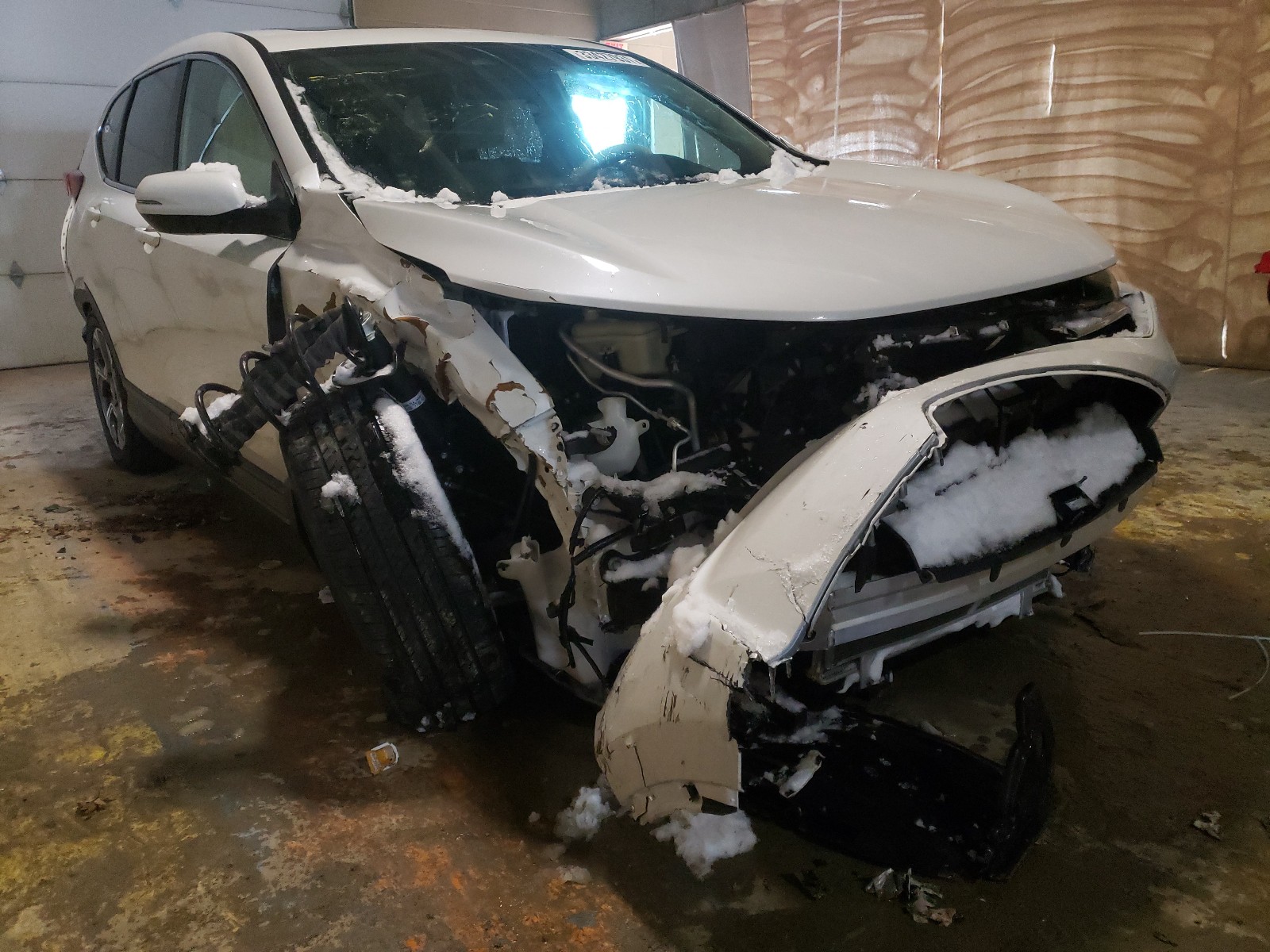 HONDA CR-V EX 2019 2hkrw2h5xkh641387