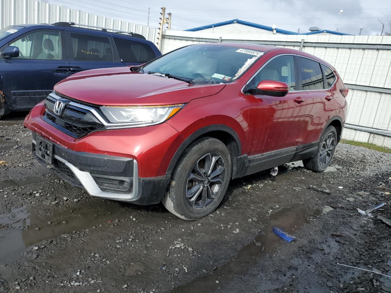 HONDA CR-V 2022 2hkrw2h80nh655653