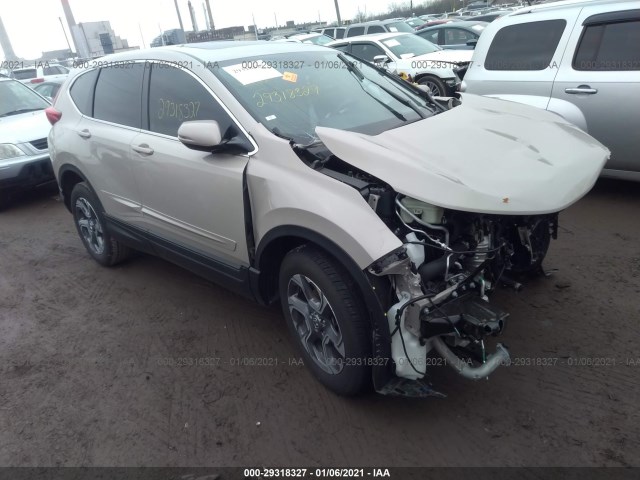 HONDA CR-V 2019 2hkrw2h81kh630286