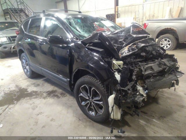 HONDA CR-V 2020 2hkrw2h81lh659417