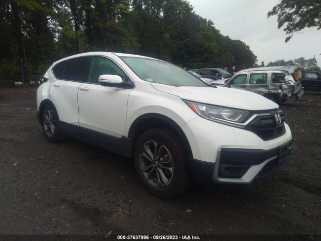 HONDA CR-V 2022 2hkrw2h81nh609605