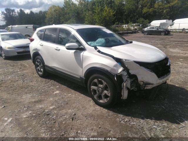 HONDA CR-V 2019 2hkrw2h82kh669436