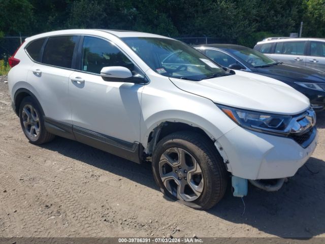 HONDA CR-V 2019 2hkrw2h82kh670554