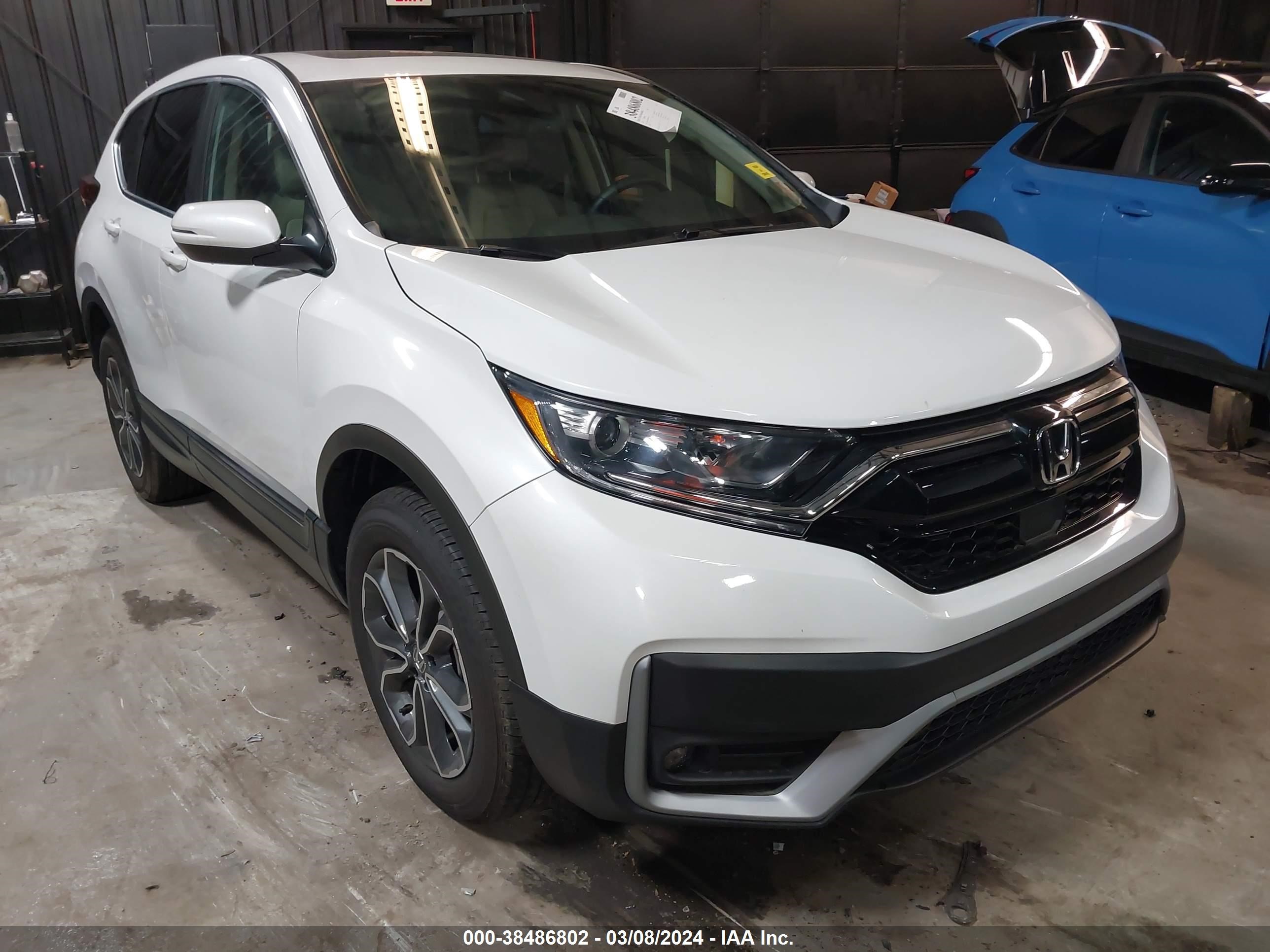 HONDA CR-V 2022 2hkrw2h82nh661700