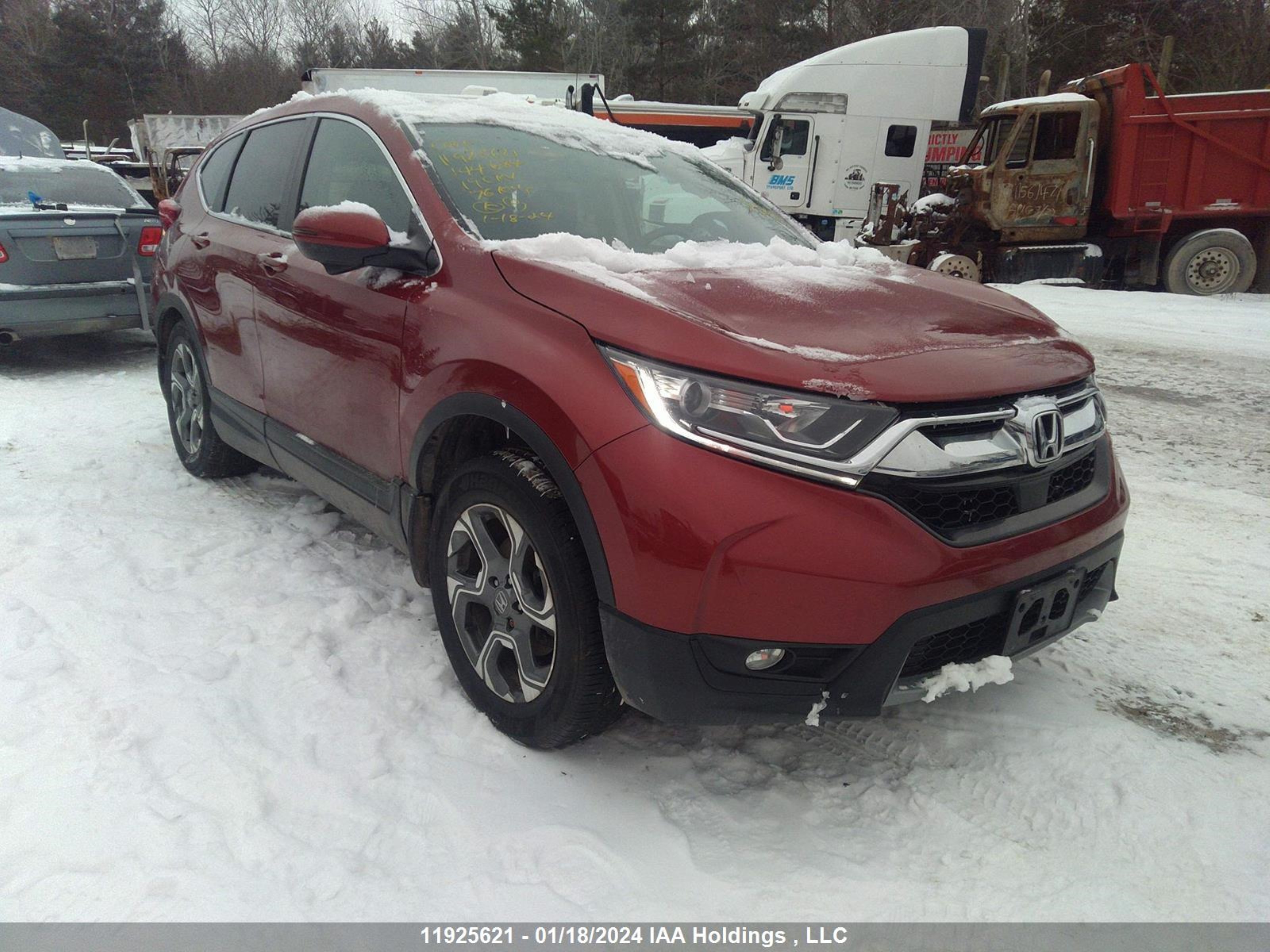 HONDA CR-V 2019 2hkrw2h84kh144684