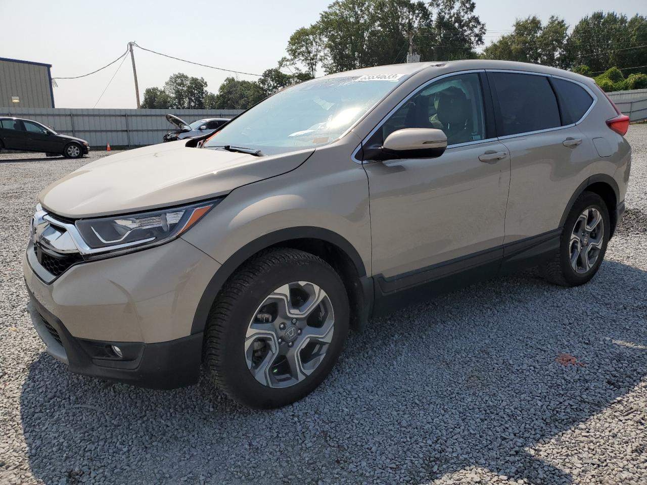 HONDA CR-V 2019 2hkrw2h84kh636633