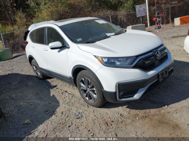 HONDA CR-V 2020 2hkrw2h86lh693823