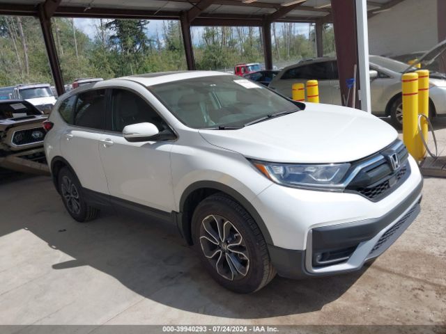 HONDA CR-V 2022 2hkrw2h87nh670666