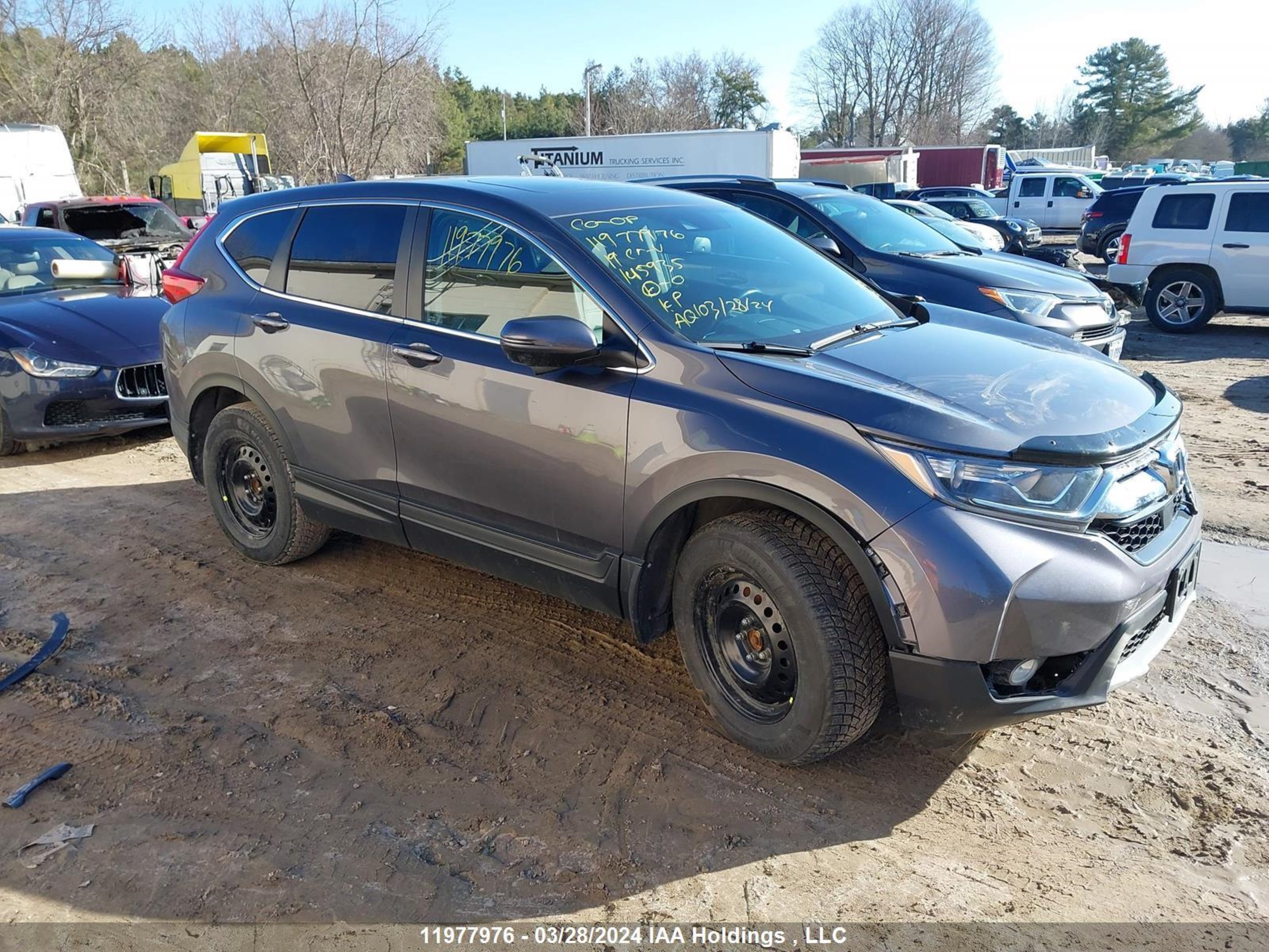 HONDA CR-V 2019 2hkrw2h88kh145935