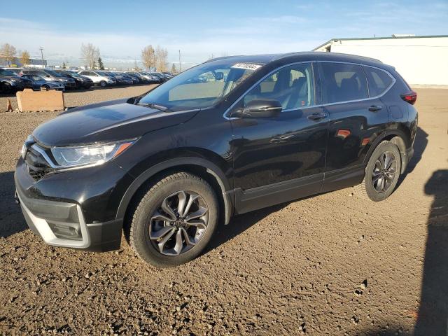 HONDA CR-V EXL 2020 2hkrw2h89lh225391