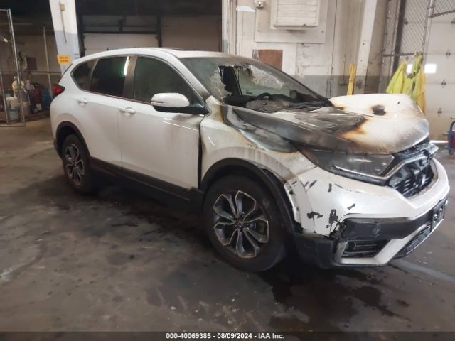 HONDA CR-V 2020 2hkrw2h89lh700263