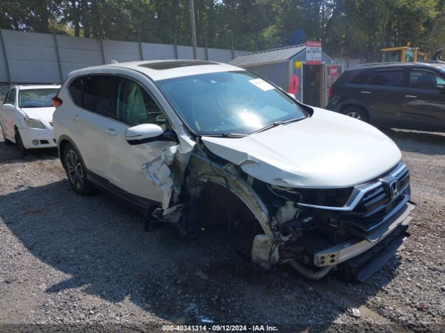 HONDA CR-V 2020 2hkrw2h8xlh654099