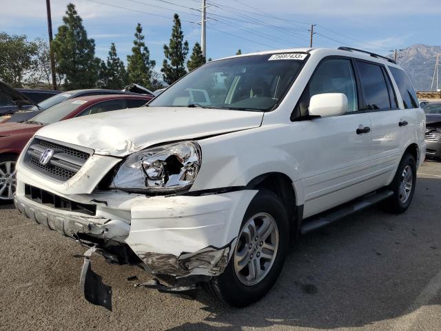 HONDA PILOT 2004 2hkyf18424h606648