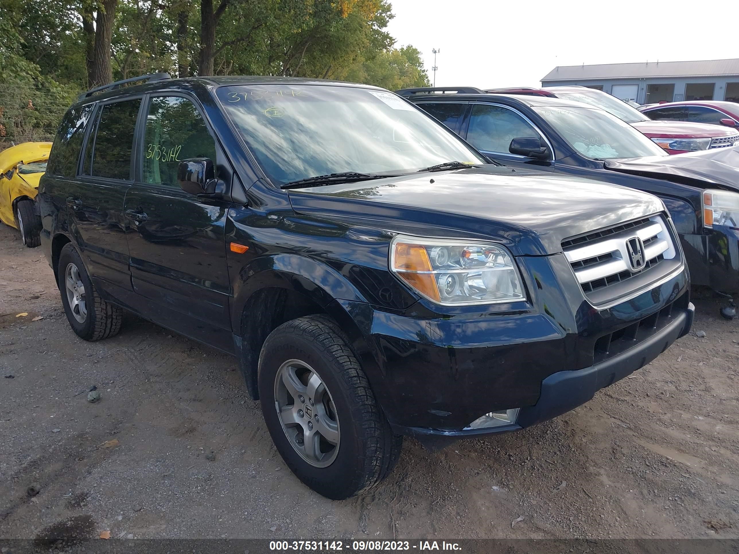 HONDA PILOT 2006 2hkyf18496h558150