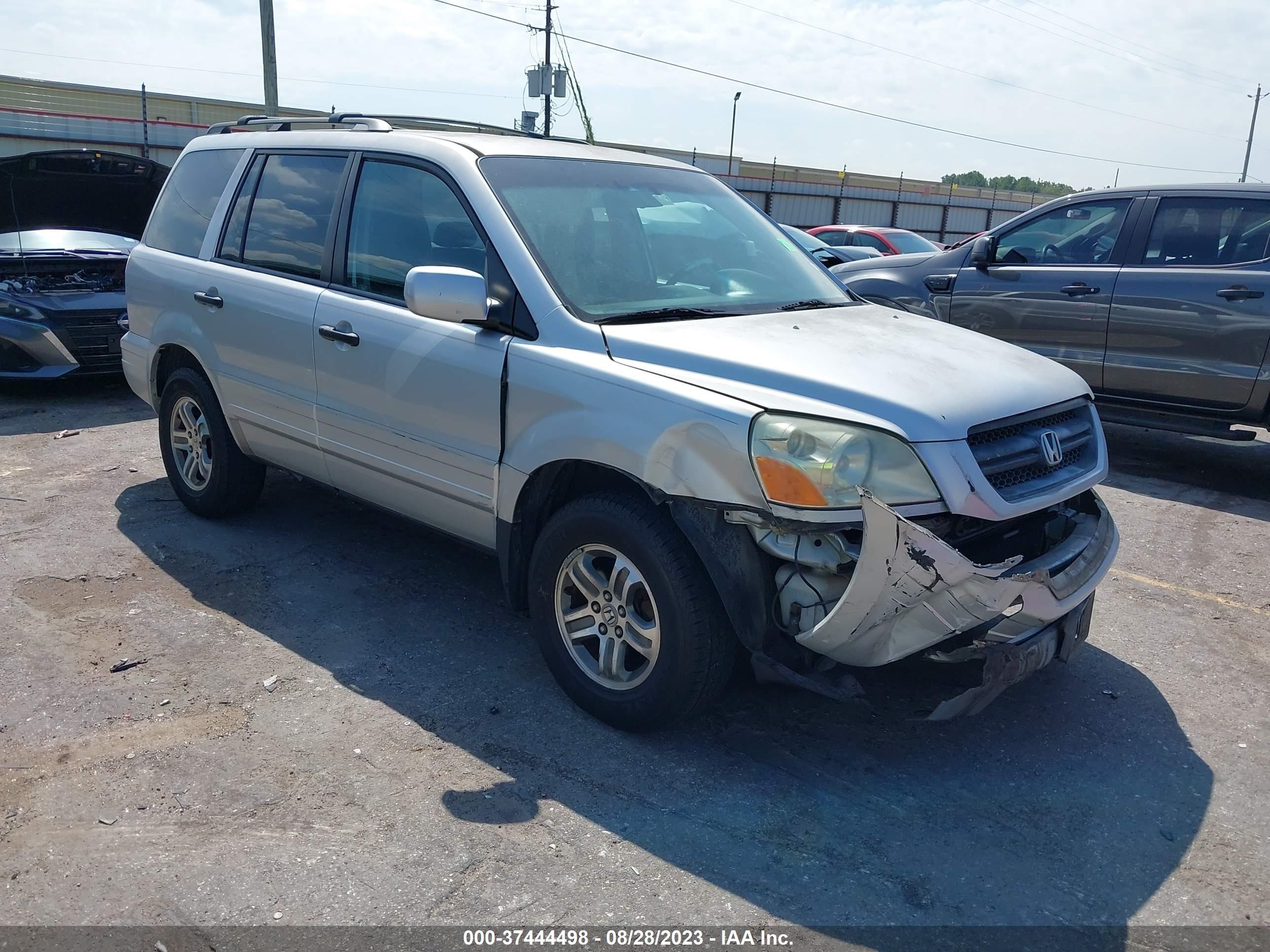 HONDA PILOT 2004 2hkyf18504h516519