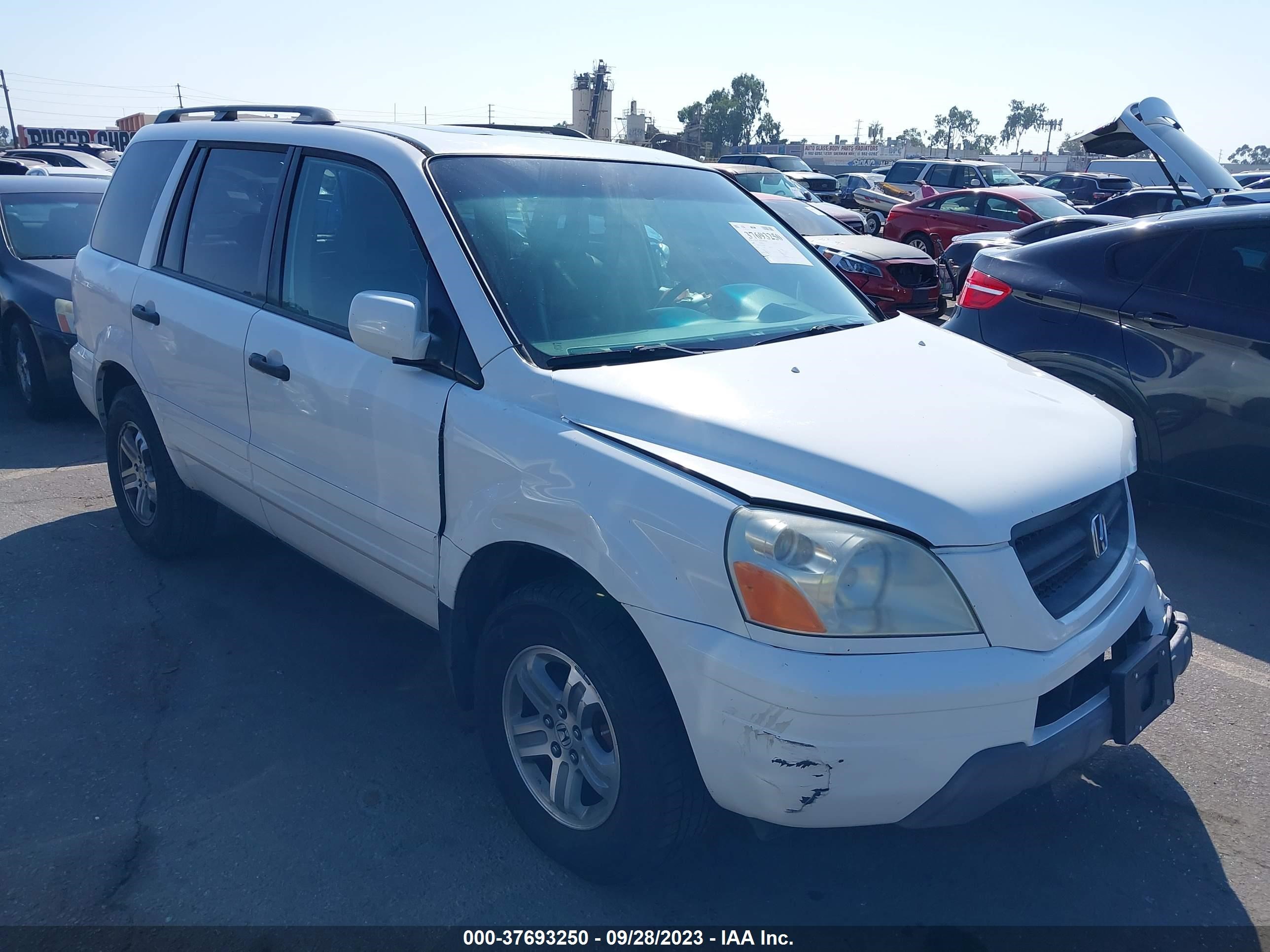 HONDA PILOT 2005 2hkyf18515h556755