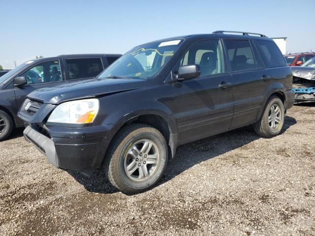 HONDA PILOT 2005 2hkyf18525h003032