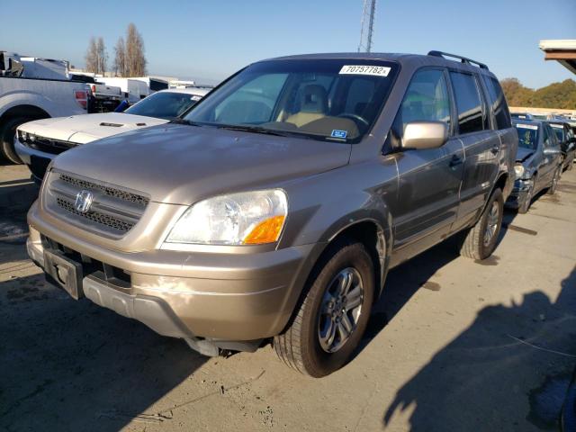 HONDA PILOT 2005 2hkyf18525h510500