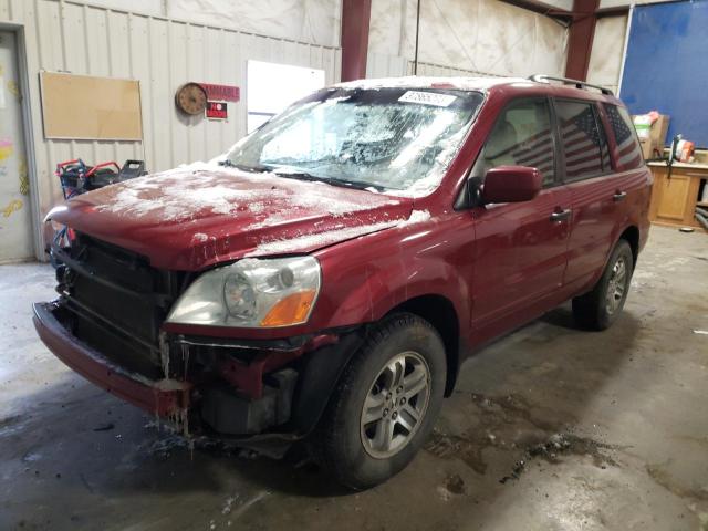 HONDA PILOT EXL 2005 2hkyf18525h560359