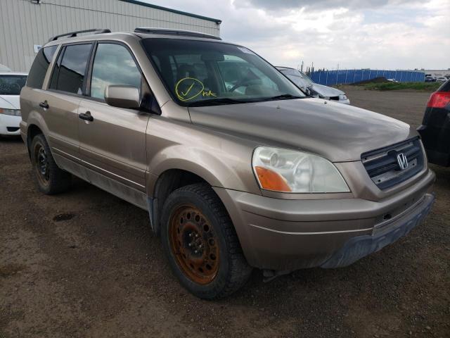 HONDA PILOT EXL 2005 2hkyf18545h000746