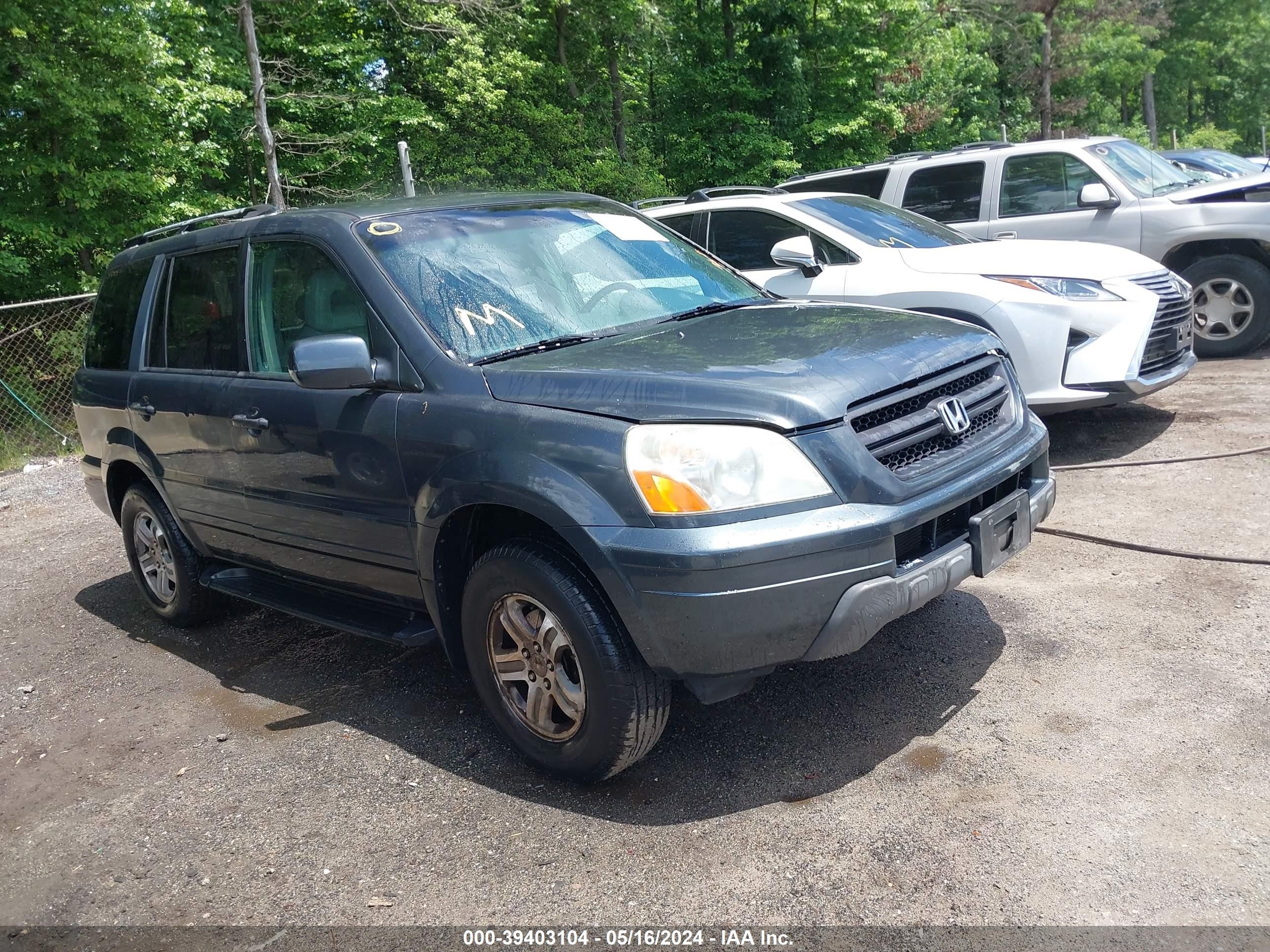 HONDA PILOT 2004 2hkyf18564h591192