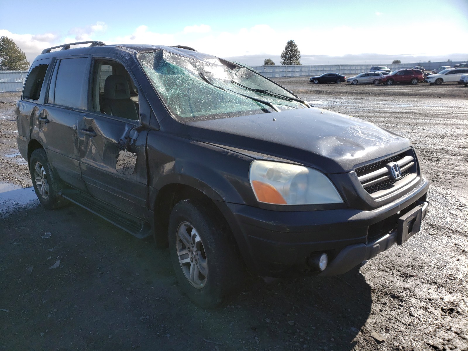 HONDA PILOT EXL 2004 2hkyf18574h578855