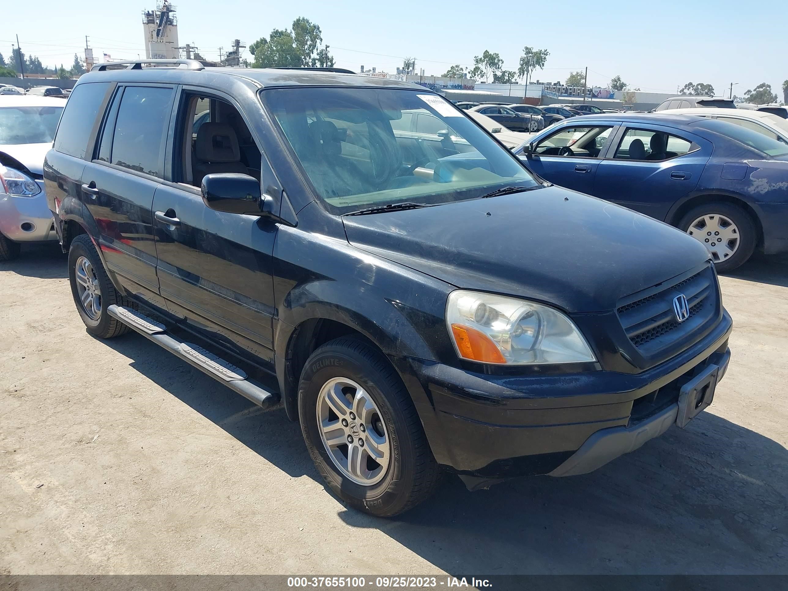 HONDA PILOT 2005 2hkyf18575h518804